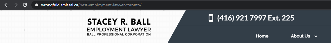 Employment Lawyer in Toronto