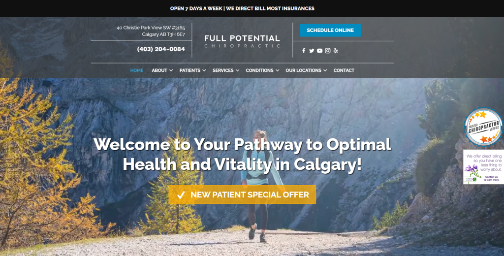 chiropractor websites examples