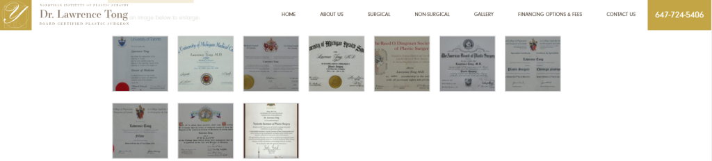 an example of certificates of a cosmetic surgeon - the photos of actual certificates issued by organisations