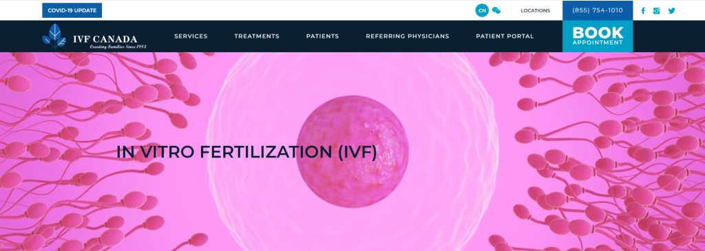 IVF website design
